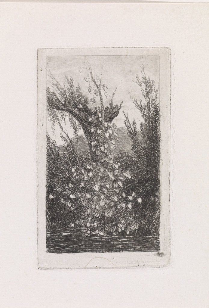 Detail of Vegetated Pollard to a waterfront by Jacob Jan van der Maaten