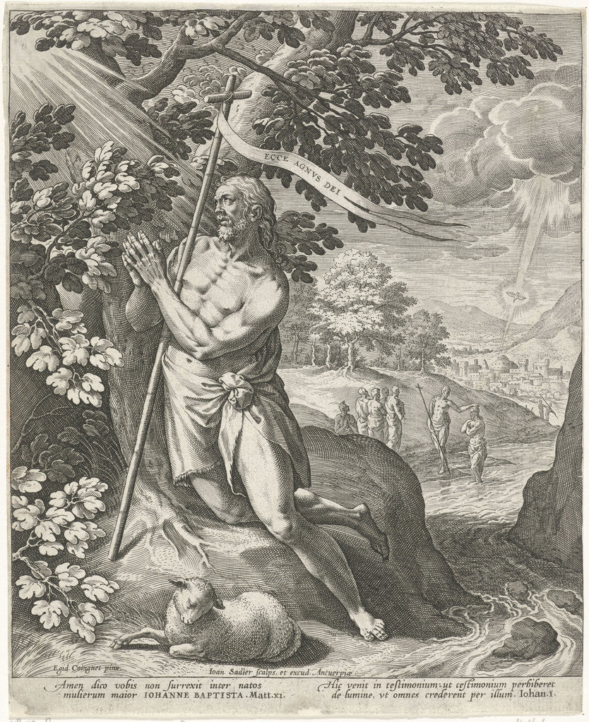 Detail of John the Baptist in the Desert by Johann Sadeler I