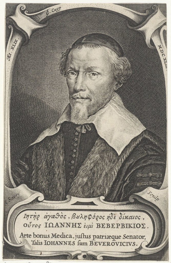 Detail of Portrait of John van Beverwijck by Salomon Savery