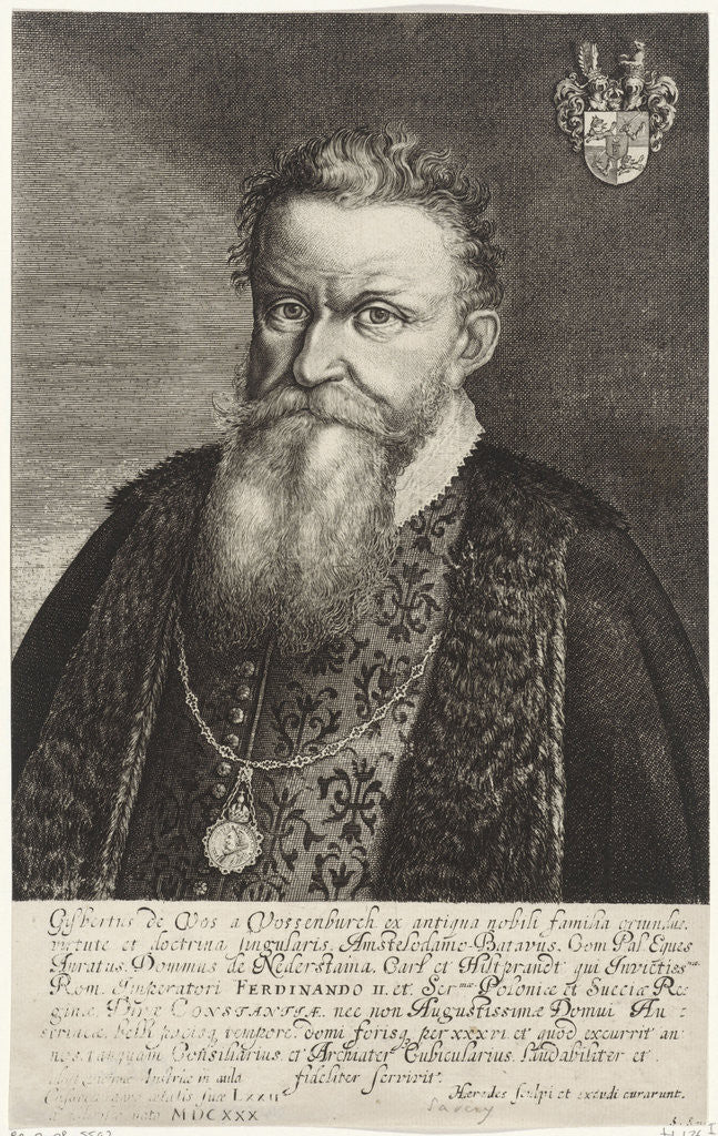 Detail of Portrait of Gijsbertus de Vos van vossenburch by Medicus