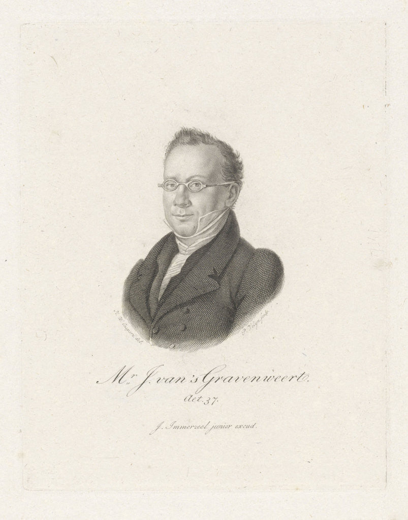 Detail of Portrait of Jan van 's Gravenweert by Johannes Immerzeel