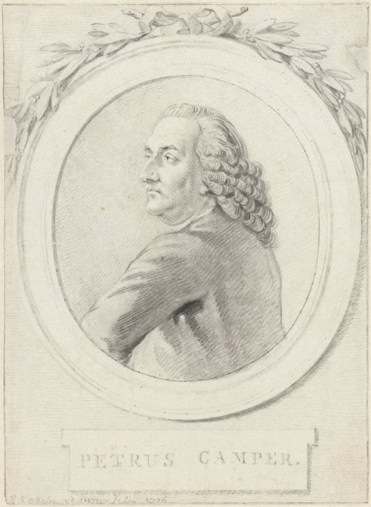 Detail of Portrait of Professor Petrus Camper by Reinier Vinkeles