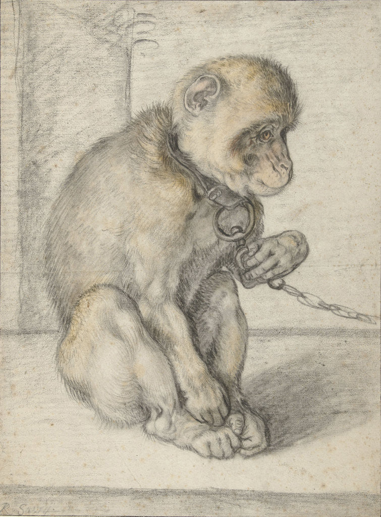 Detail of Monkey on a Chain by Hendrick Goltzius