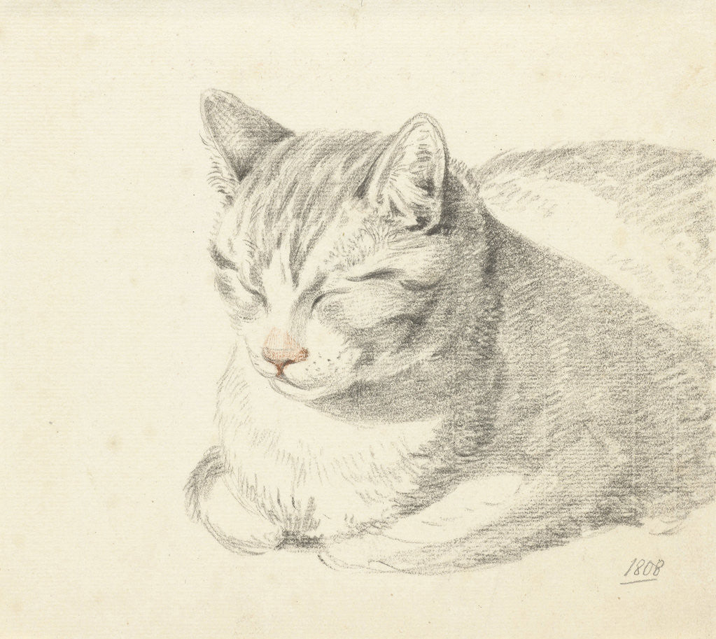 Detail of Cat by Jean Bernard