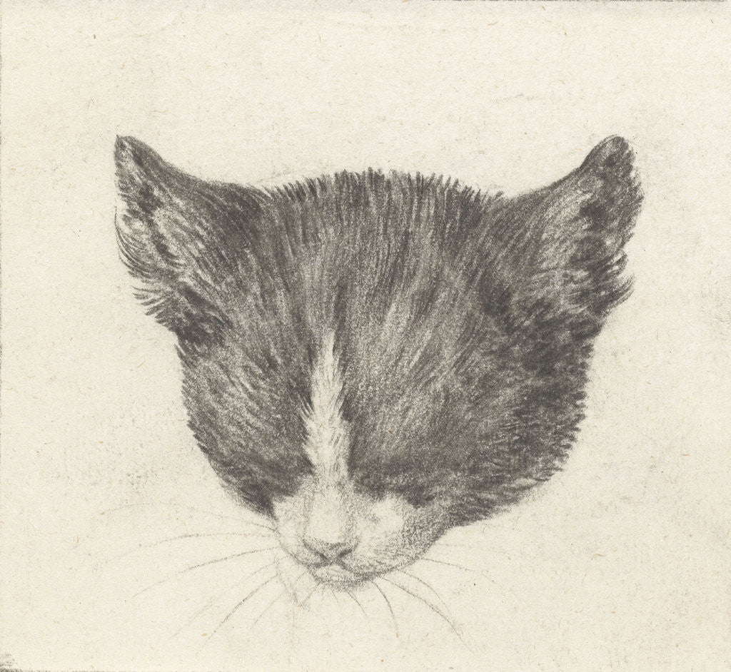 Detail of Cat by Jean Bernard