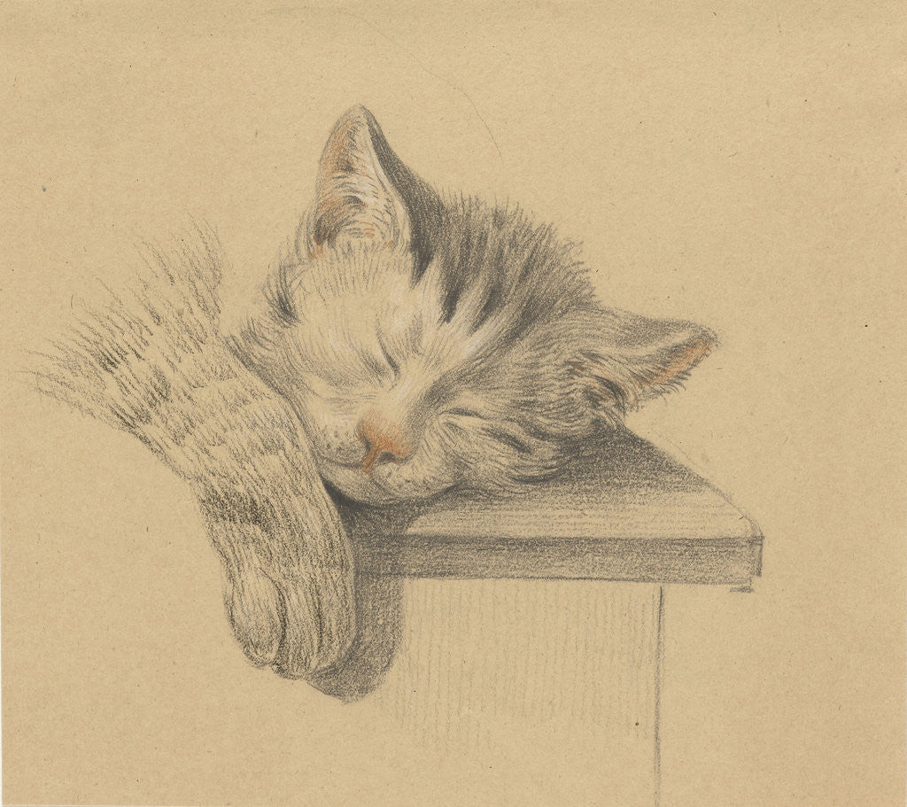 Detail of A sleeping cat by Jean Bernard