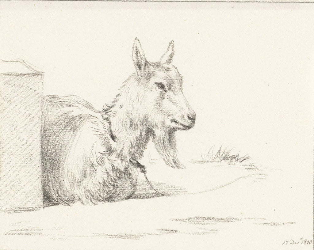 Detail of Goat by Jean Bernard