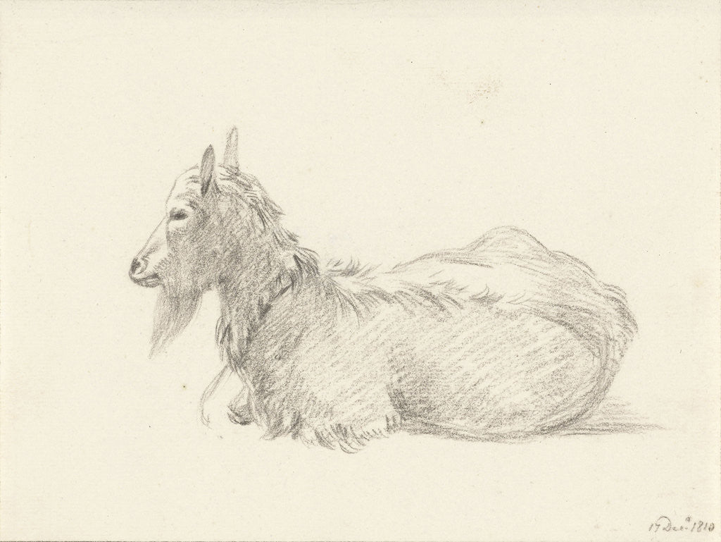 Detail of Reclining goat by Jean Bernard