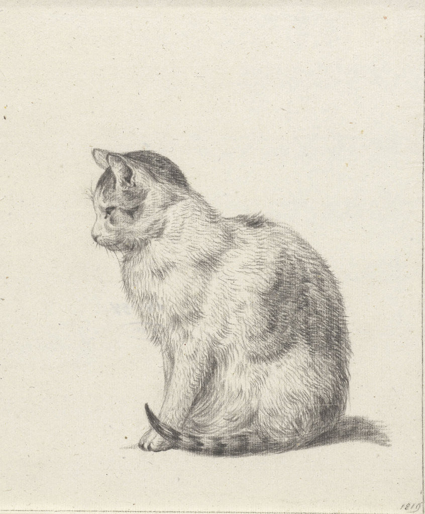 Detail of Sitting cat by Jean Bernard