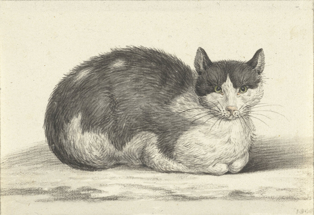 Detail of Reclining cat by Jean Bernard
