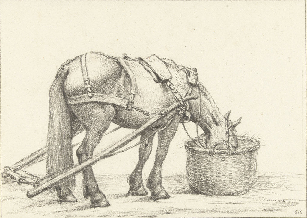 Detail of Horse eating out of a basket by Jean Bernard