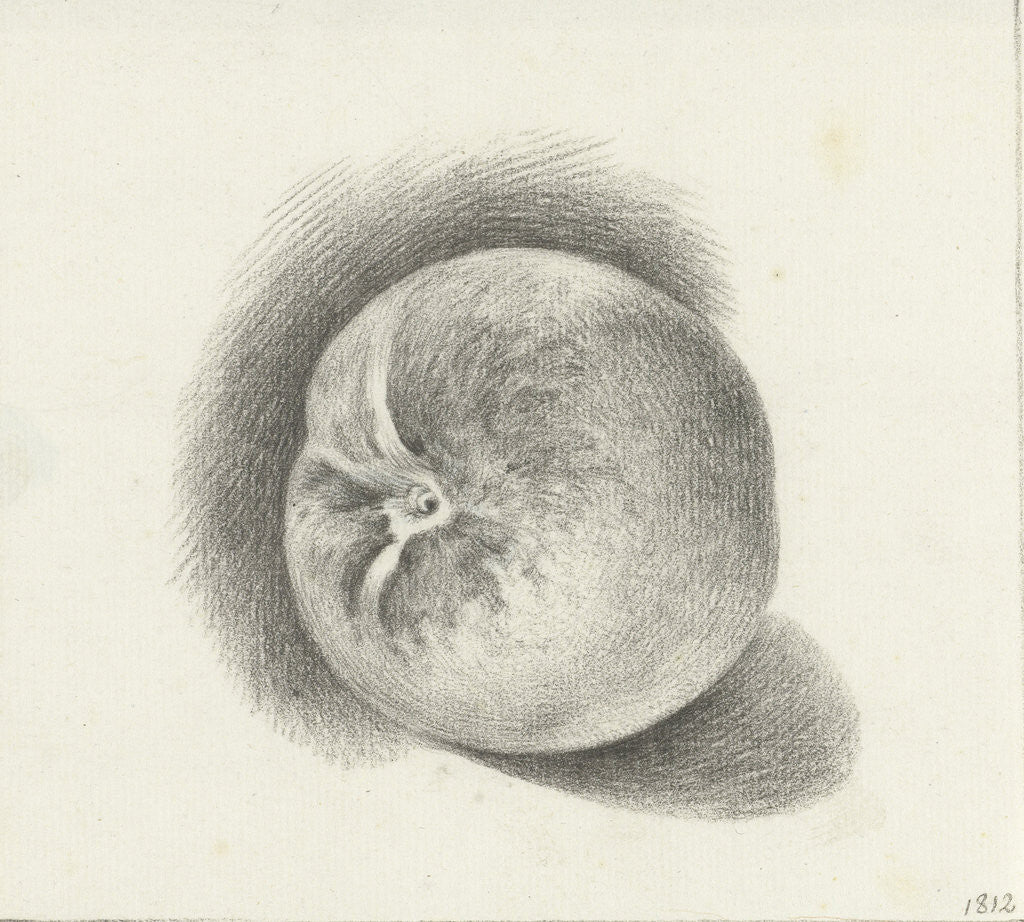 Detail of Apple by Jean Bernard