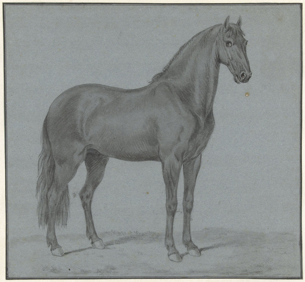 Detail of Horse of Monsieur de Guille by Tethart Philip Christian Haag