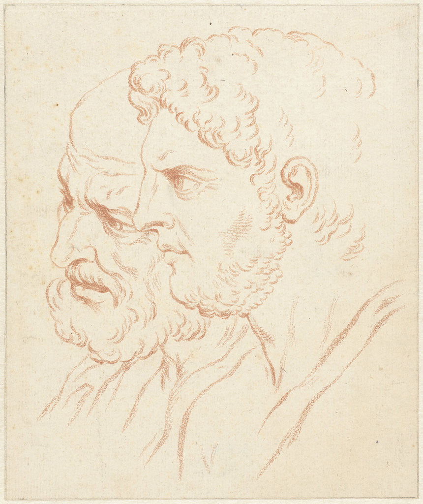 Detail of Two Roman mans head by Jacob van der Schley