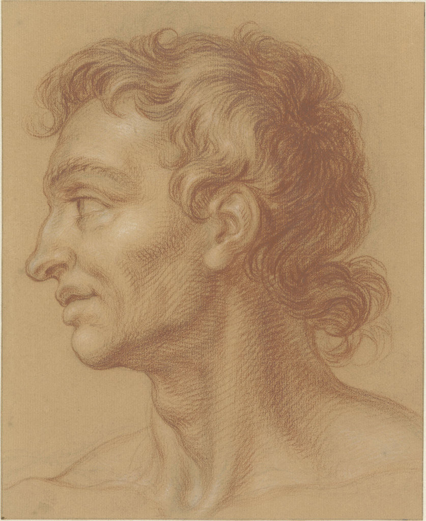 Detail of Study of a mans head by Isaac Walraven