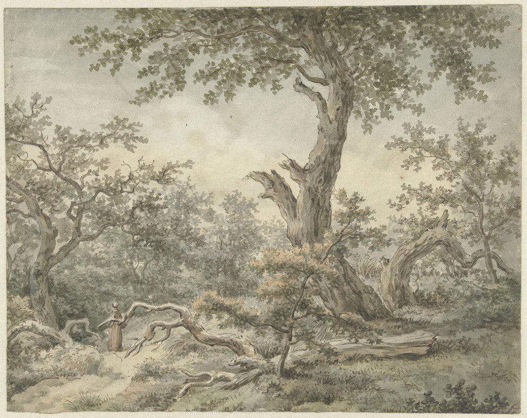 Detail of Forest Landscape by Cornelis Buys