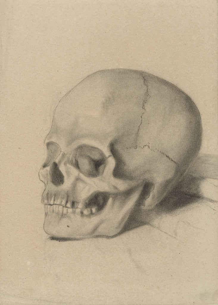 Detail of Skull by George Hendrik Breitner