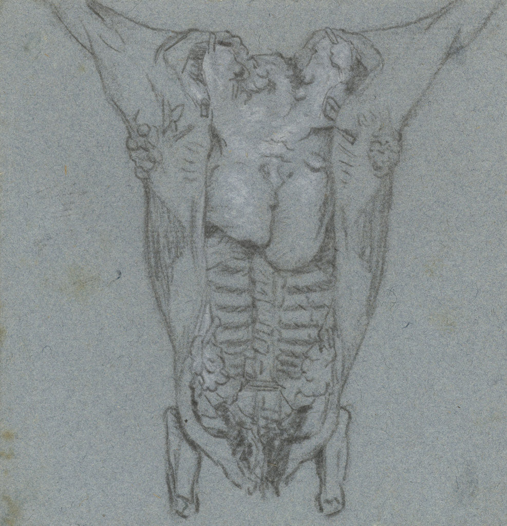 Detail of Hanging slaughtered animals by Jordanus Hoorn