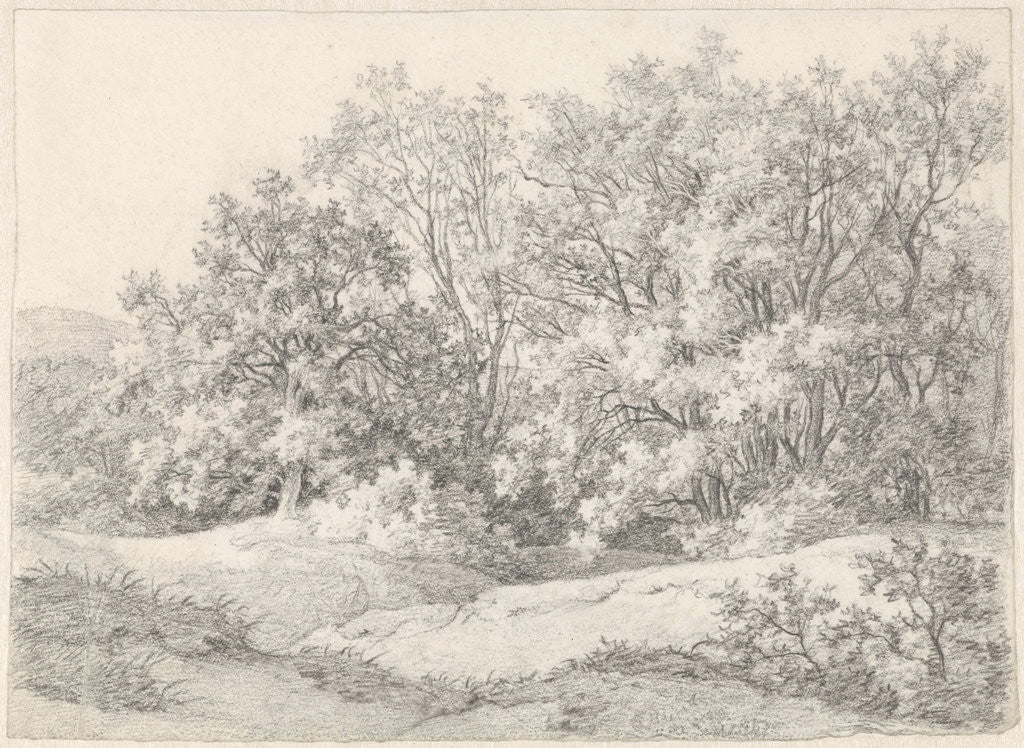 Detail of Trees on a dune ridge at the Hartekamp by Pieter van Cranenburgh
