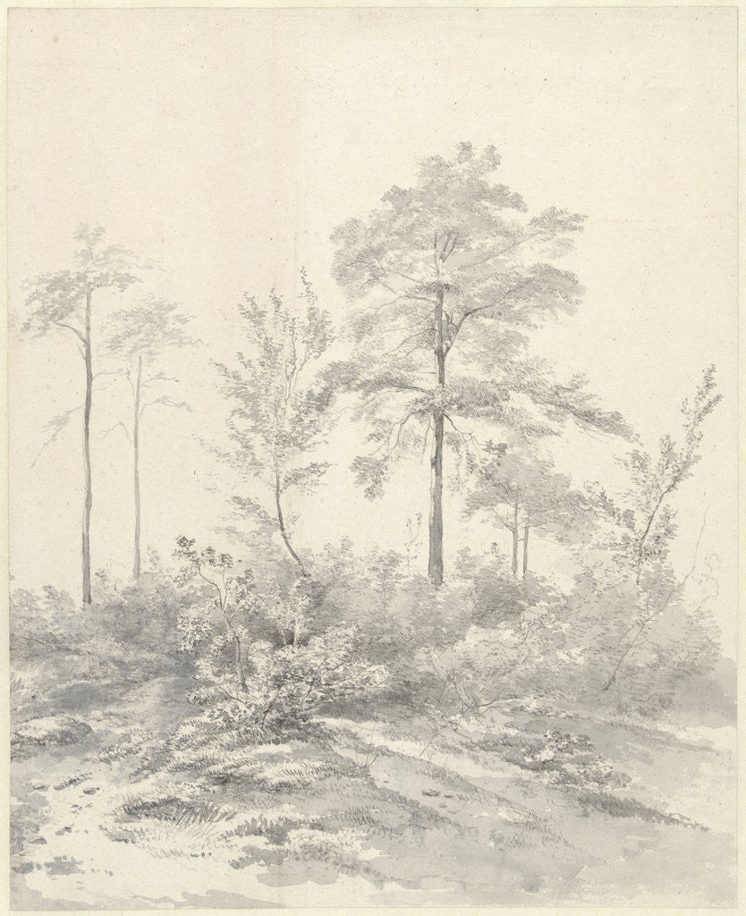 Detail of Tall trees between shrubs by Abraham Johannes Ruytenschildt