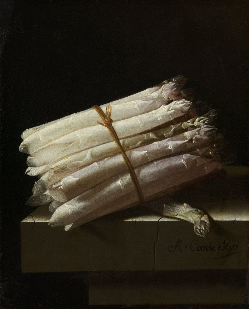 Detail of Still Life with Asparagus by Adriaen Coorte