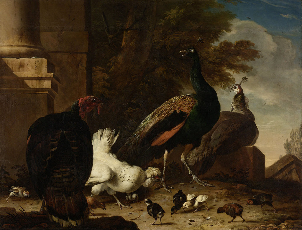 Detail of A Hen with Peacocks and a Turkey by Melchior d' Hondecoeter