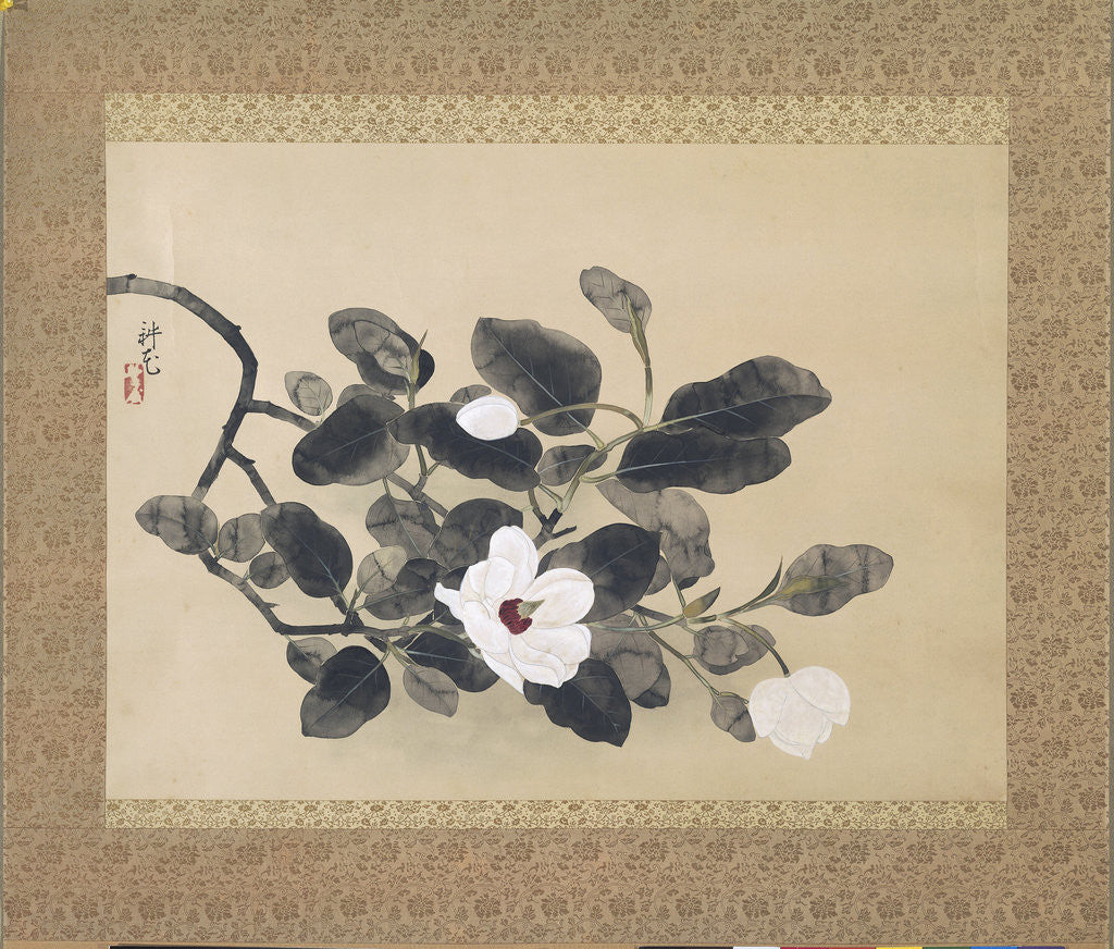 Detail of Scroll Painting with magnolia by Yamamura Kôka