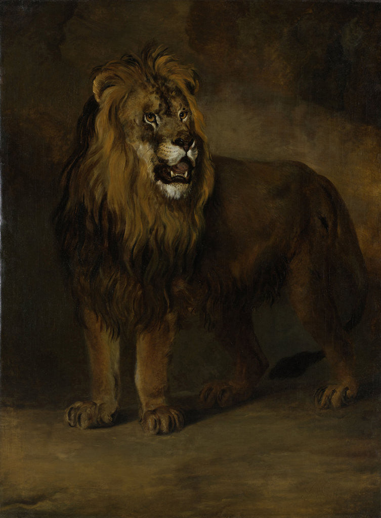 Detail of Lion, from the Menagerie of Napoleon III, Emperor of the French, 1808 by Pieter Gerardus van Os