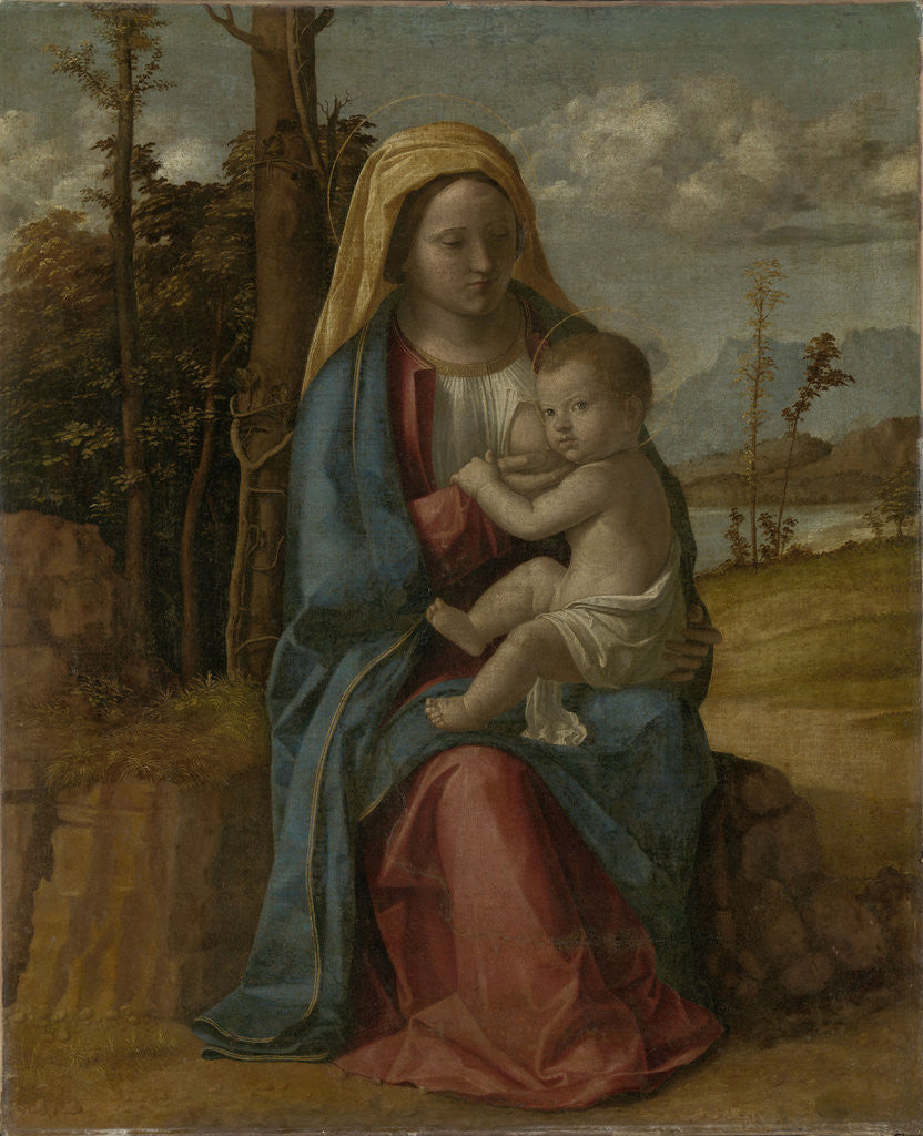 Detail of Virgin and Child by Giovanni Battista Cima da Conegliano