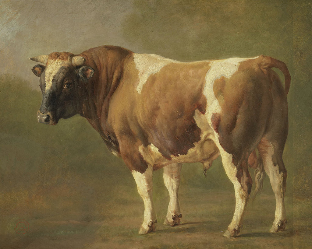 Detail of Study of a Bull by Jacques Raymond Brascassat