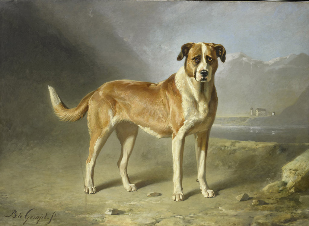 Detail of Saint Bernard Dog by Bernard te Gempt