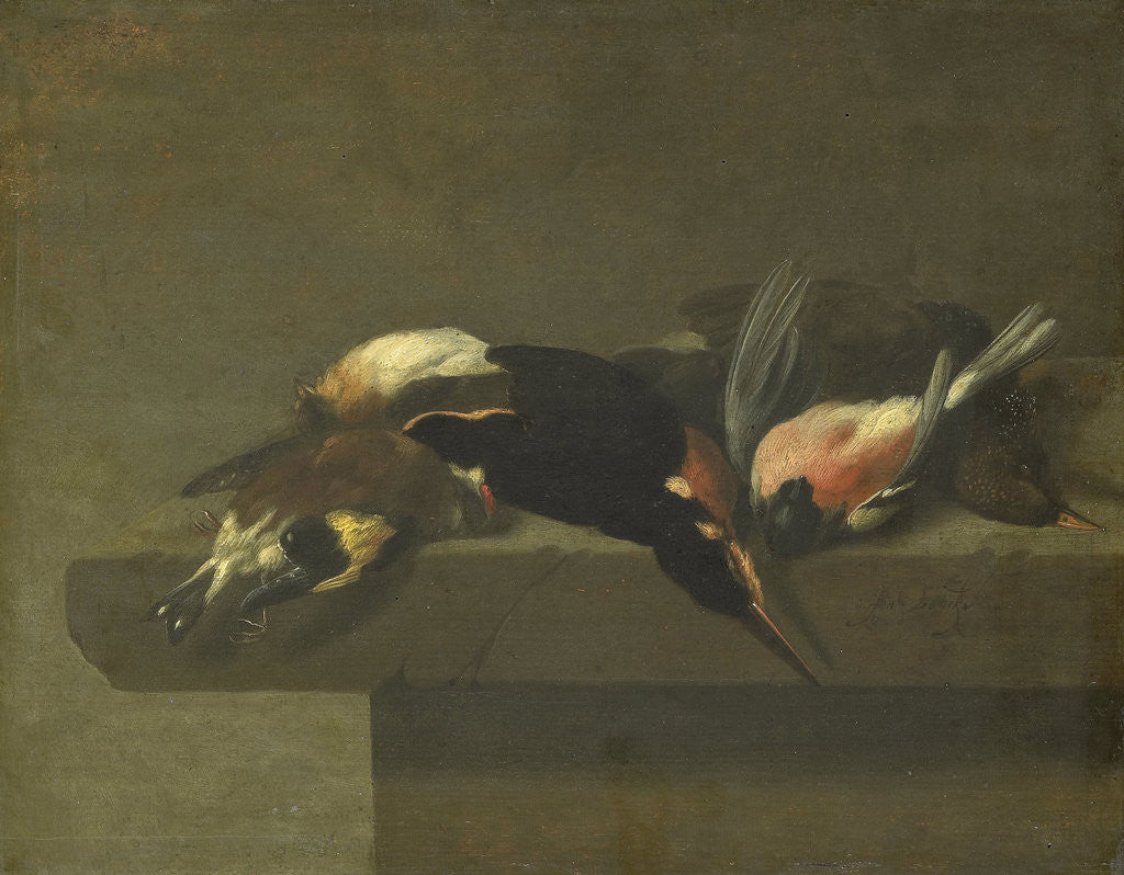Detail of Dead Birds by Jan Vonck