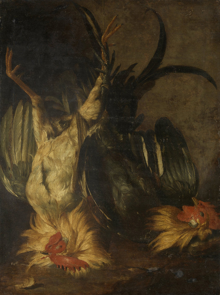 Detail of Dead roosters by Christoffel Puytlinck