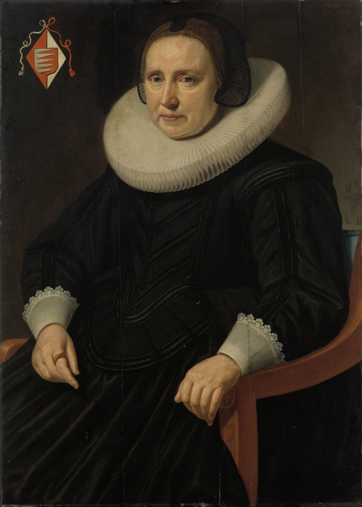 Detail of Portrait of Sara Sweerts de Weert, second Wife of Antonius Antonides van der Linden by Hendrik Meerman