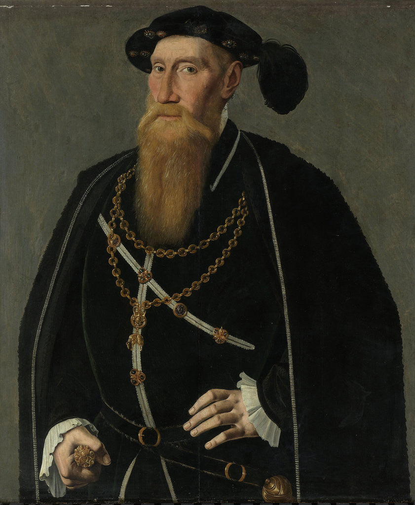 Detail of Portrait of Reinoud III of Brederode by Jan van Scorel