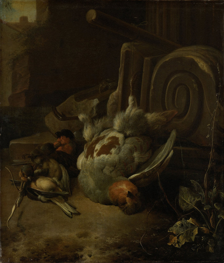 Detail of Dead Birds by Melchior d' Hondecoeter
