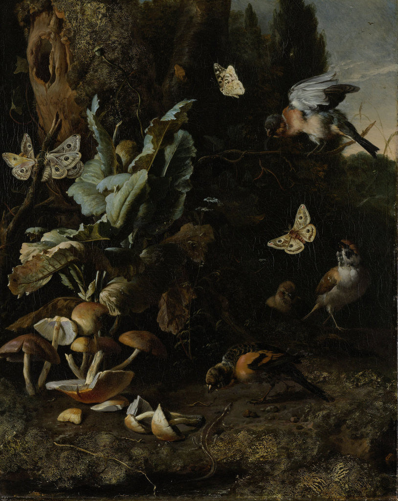 Detail of Animals and Plants by Melchior d' Hondecoeter
