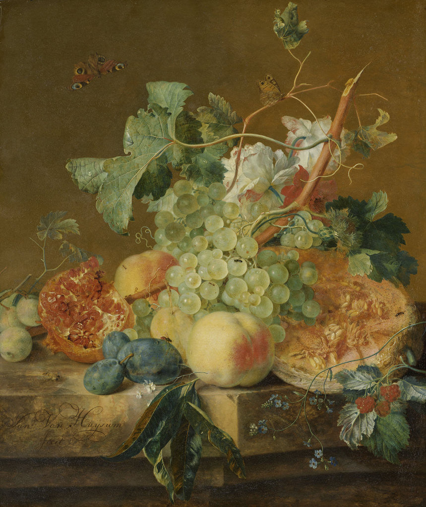 Detail of Still Life with Fruit by Jan van Huysum