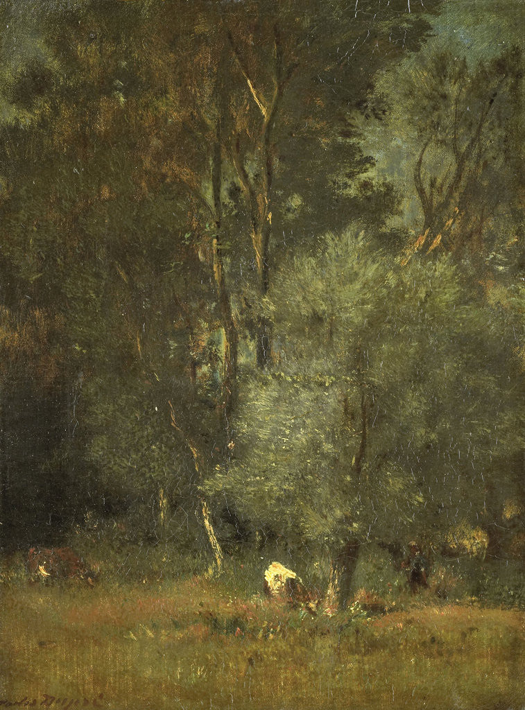 Detail of Forest scene by Jules Dupré
