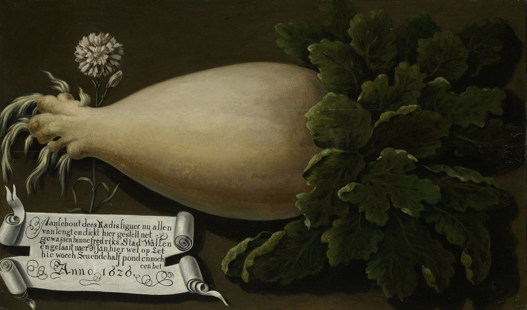 Detail of A Giant Radish by Anonymous