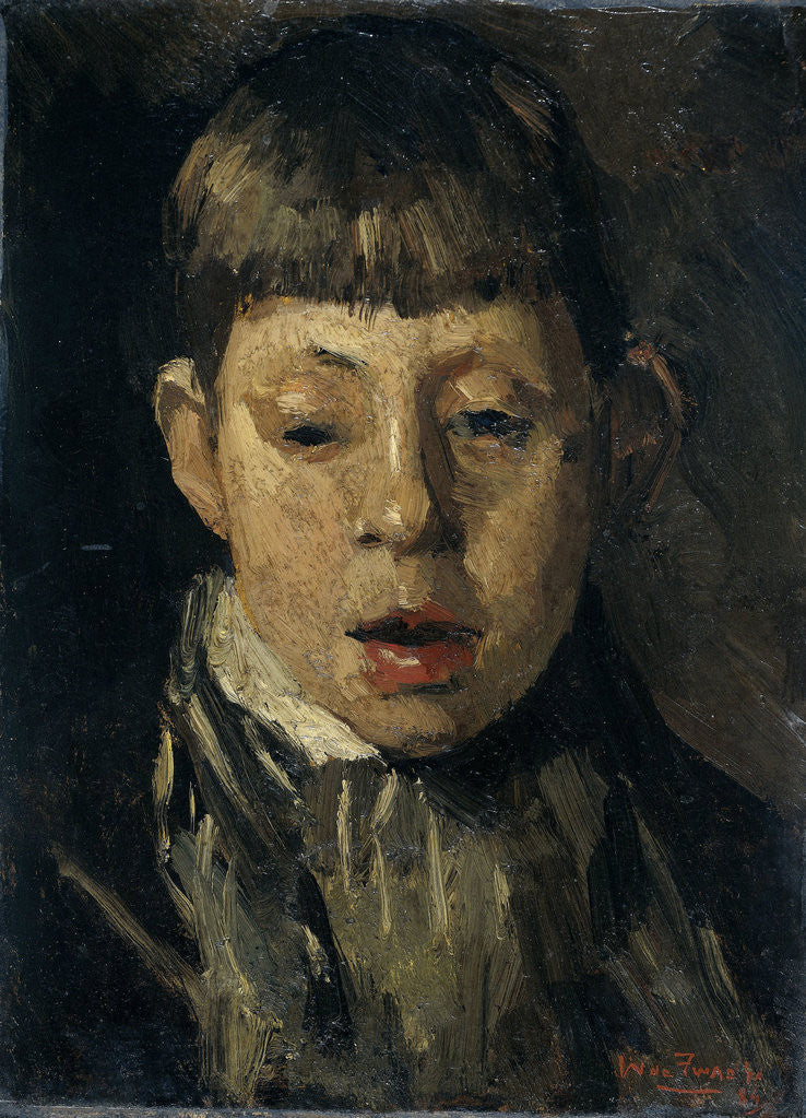 Detail of Boys head by Willem de Zwart