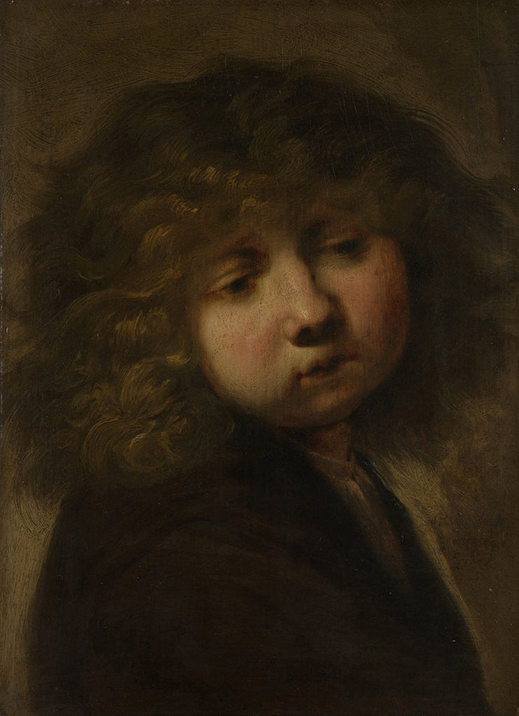 Detail of Head of a boy by Anonymous