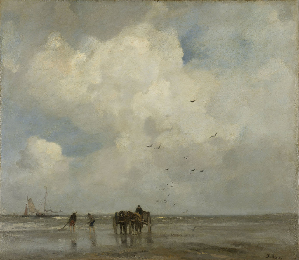 Detail of Shells Fish by Jacob Maris