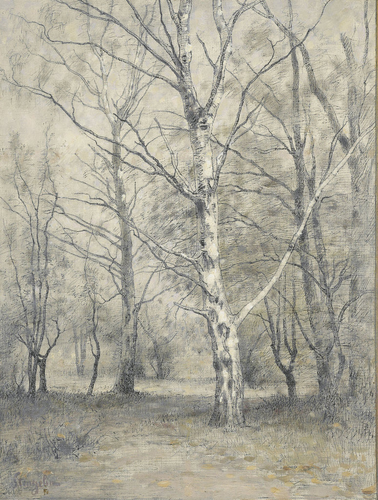 Detail of Forest of birch trees by Alphonse Stengelin