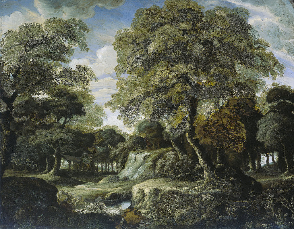 Detail of Woodland Scene by Jan van der Heyden