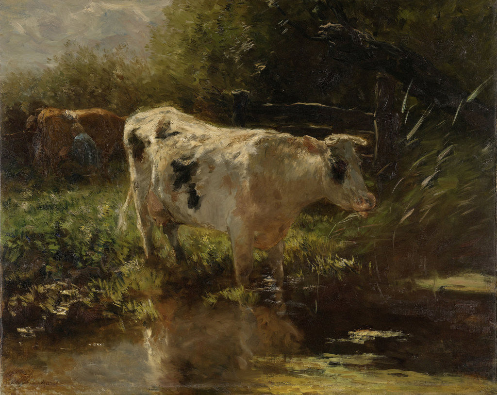 Detail of Cow beside a Ditch by Willem Maris