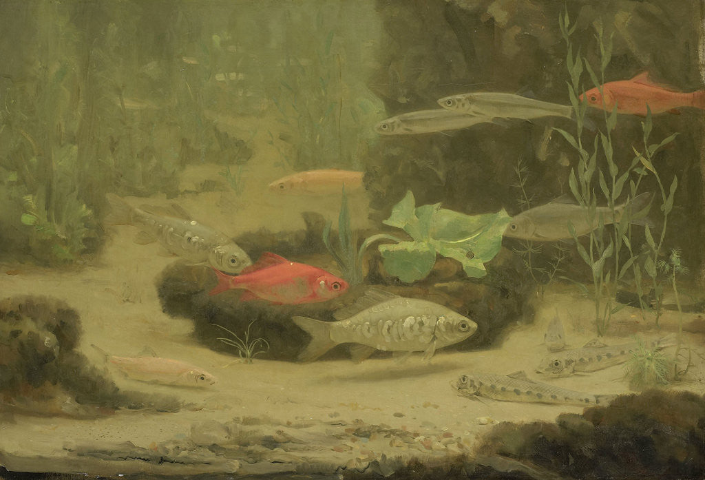 Detail of Gold and silver fish in an aquarium by Gerrit Willem Dijsselhof