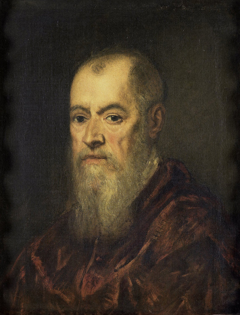 Detail of Portrait of a Man with a Red Cloak by Jacopo Tintoretto