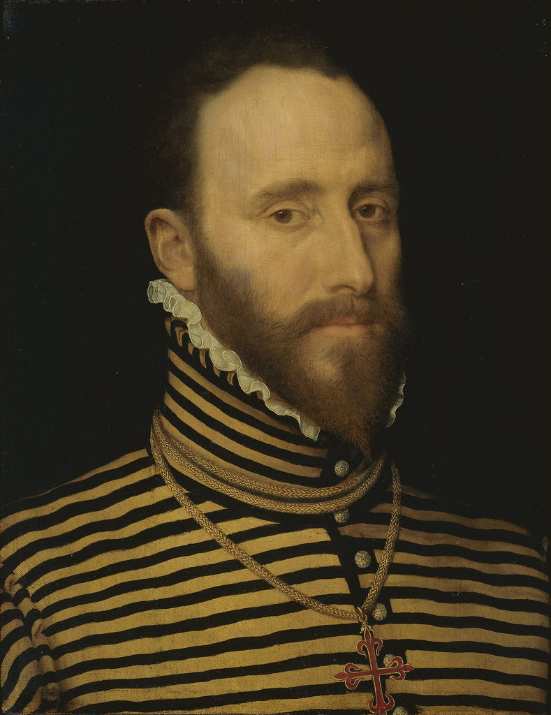 Detail of Portrait of a Knight of the Order of Calatrava, probably of the Sorias or Soreau Lineage (Sorel) by Frans Pourbus I