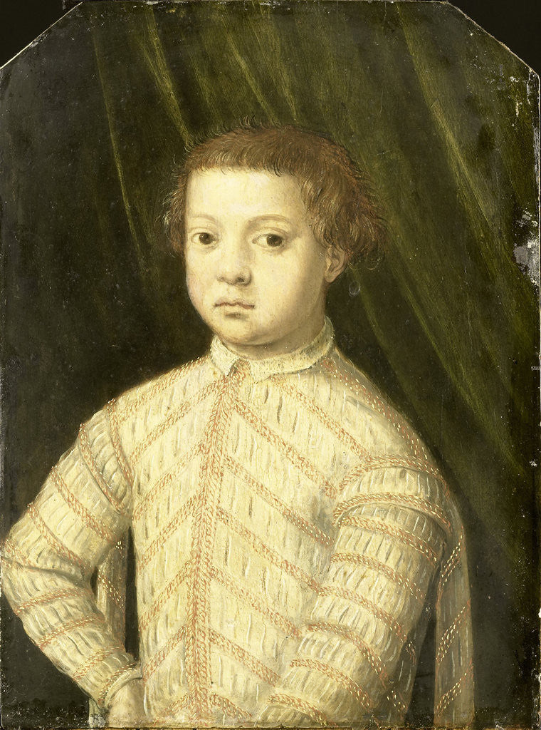 Detail of Portrait of a Boy, probably Giovanni de' Medici by Anonymous
